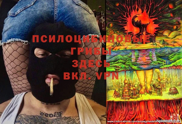 гидропоника Армянск