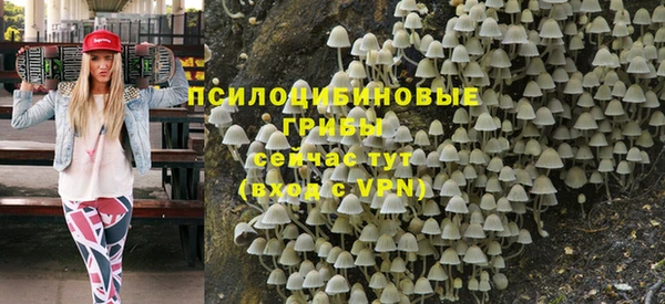 гидропоника Армянск