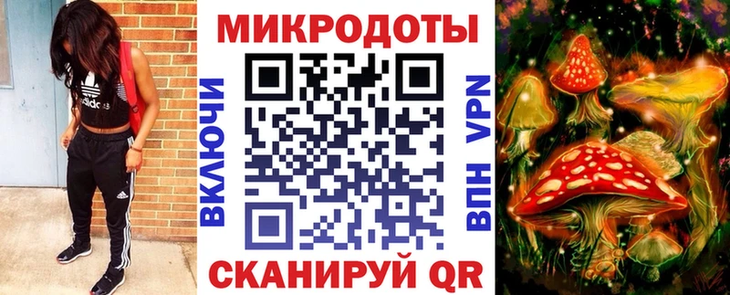 где продают Радужный Галлюциногенные грибы Psilocybine cubensis